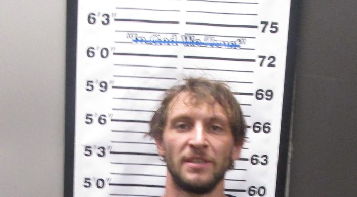 Ava Man and Juvenile Arrested for Burglary, Assault, and Other Charges