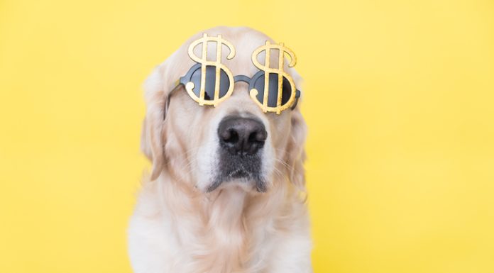 BBB Tip: Calculate the cost of owning a pet