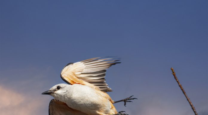 Local Photographer Bob Cunningham Exhibit Opening Sept. 17 in the Gallery at the Center