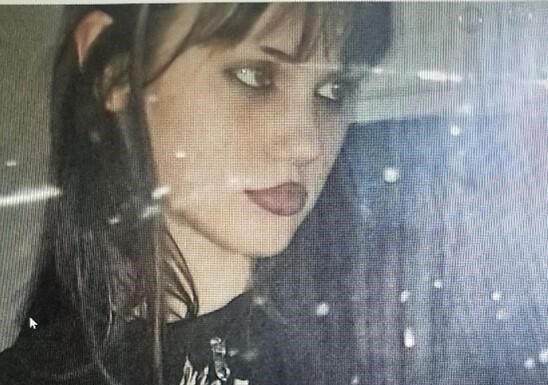 Baxter County Sheriff is Looking for Runaway Juvenile, Dog, & Boyfriend