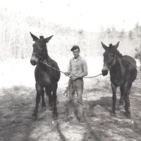 Don E. Elmore