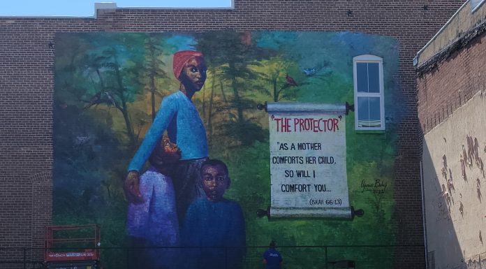 Luster Arcade Area in West Plains Receives New Mural