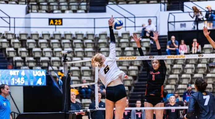 Mizzou Volleyball Drops Match to Georgia
