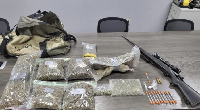 Mountain Grove Traffic Stop Leads to Seizure of Drugs, Arrest