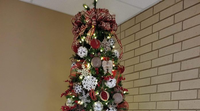 Holiday Giving Program Begins at Texas County Memorial Hospital