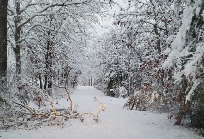 January Snow Storm