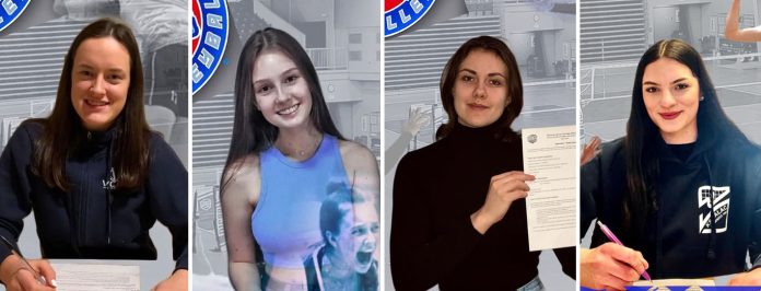 international vb signees