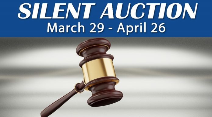 Friends of the Baxter County Library Silent Auction