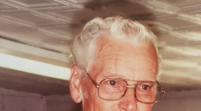 Noel L. Mills