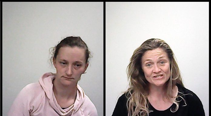 Two Arrested in Wright County for Drugs During Traffic Stop