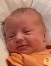 Rowan Bear Morgan