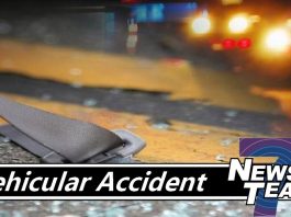 West Plains Woman Sustains Minor Injuries After Striking Deer