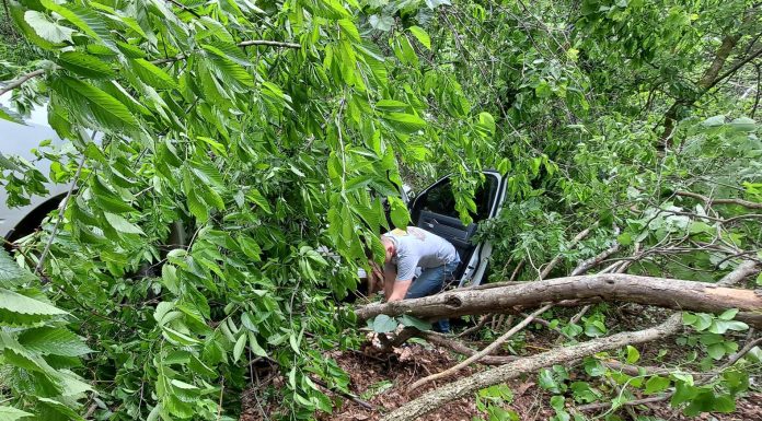 Serious Injuries Results of Eminence Crash