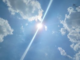 Summer Sun