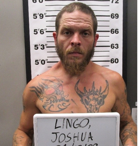 Joshua Lingo
