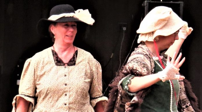 6th Annual Pioneer Heritage Festival of the Ozarks to be held Sept. 29-30 in Ava