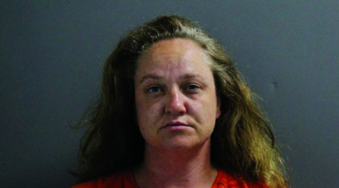 First of Two Murders in Fulton County Started Over Lawn Mower Argument