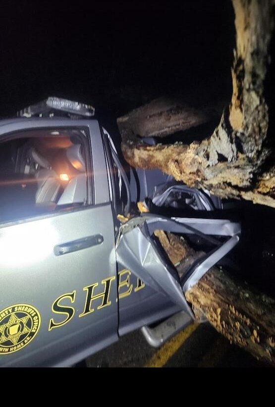 Baxter County Tree Fall