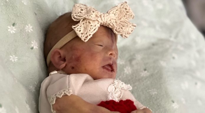 Emslee Louise Wilds