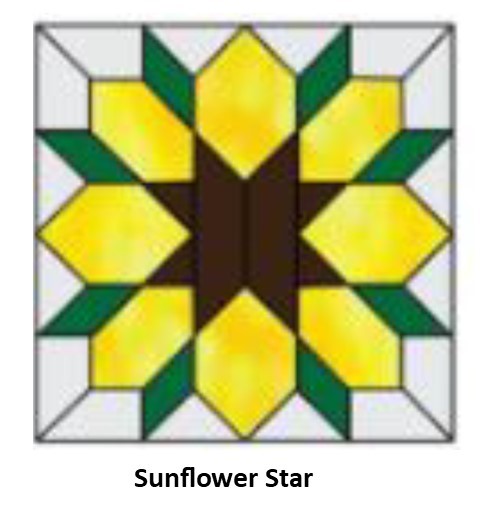 Sunflower Star