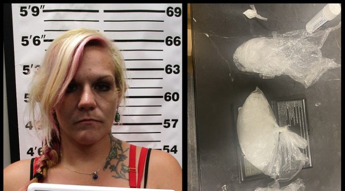 Douglas County Traffic Stop Leads to Drug-Trafficking Charges