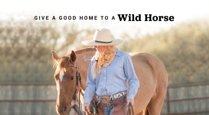 BLM to host wild horse and burro event in Carthage, Missouri