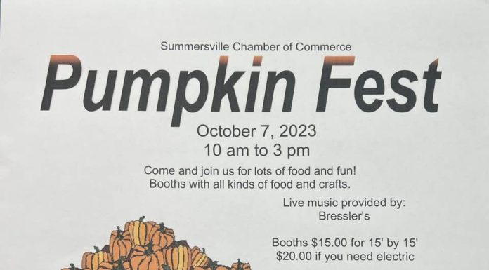 Summersville Pumpkin Fest and More to Happen Saturday