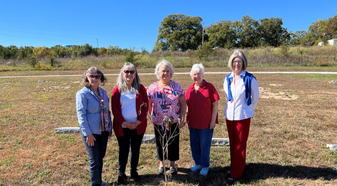 Arbor Day Tree Planted at Sadie Brown Cemetery