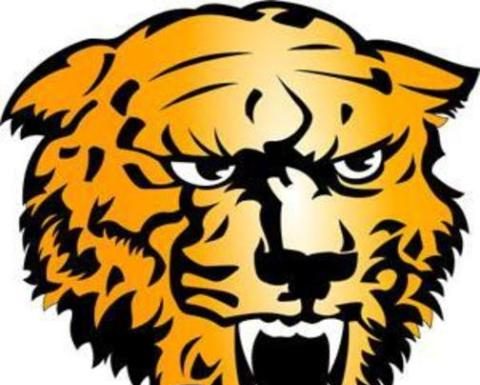 Summersville Advances in State Volleyball