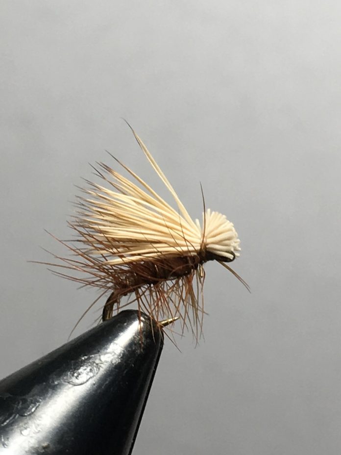 HandTied Fly NPS Photo