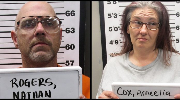 Two Facing Multiple Felony Charges for Stealing Motor Vehicles