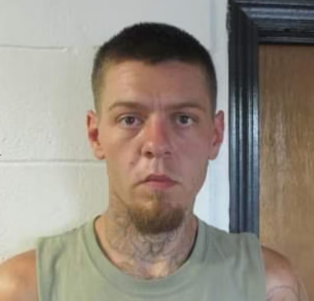 kyle sebree