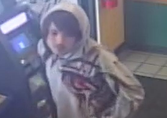 Baxter County Sheriff’s Office Searching for Vehicle Break-In Suspect