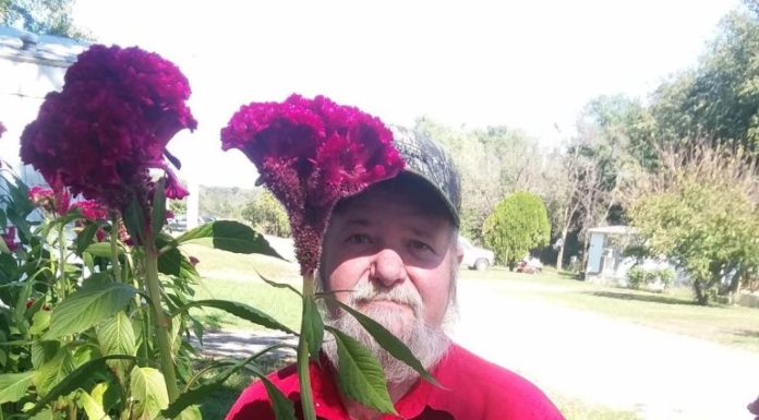 Paul Vernon Tucker