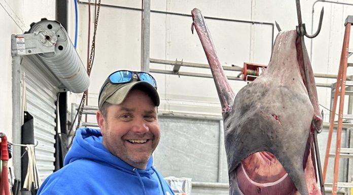 A New Paddlefish Steals The World-Record