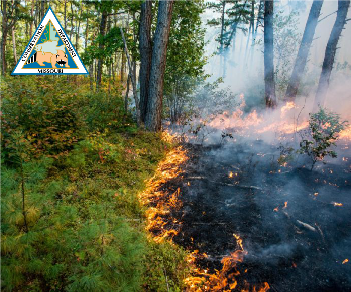controlled-burning
