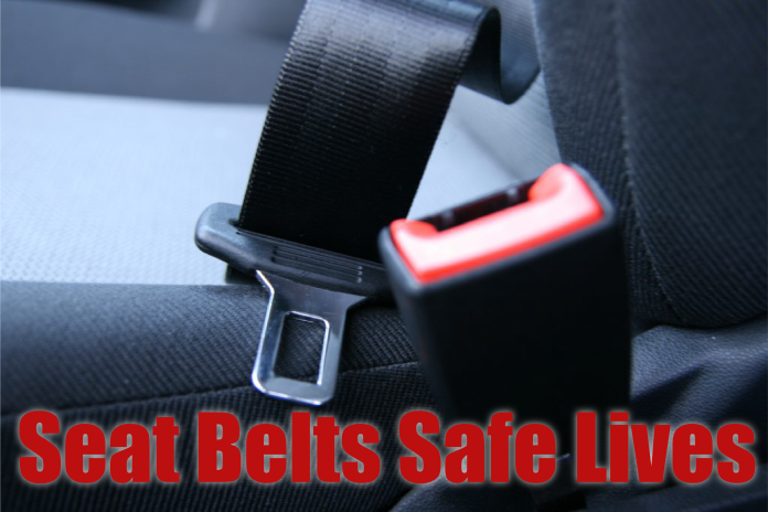 PAFF_061318_seatbelt-1024x683