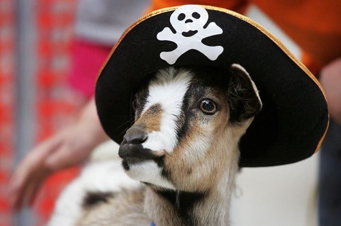 goatpirate