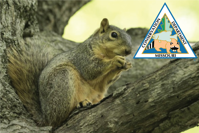 missouri conservation logo vector