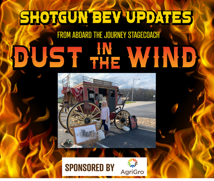 Dust in the Wind