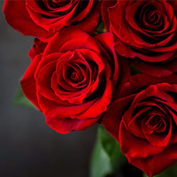 obit_placeholder_16