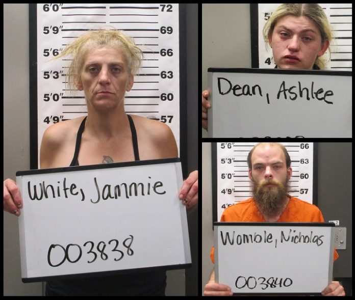 Douglas County Child Abuse 3