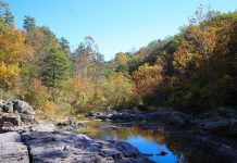NWS Releases Fall 2026 Weather-Read Insider