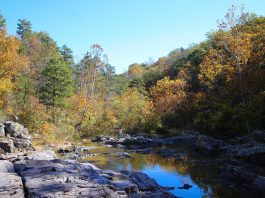 NWS Releases Fall 2026 Weather-Read Insider