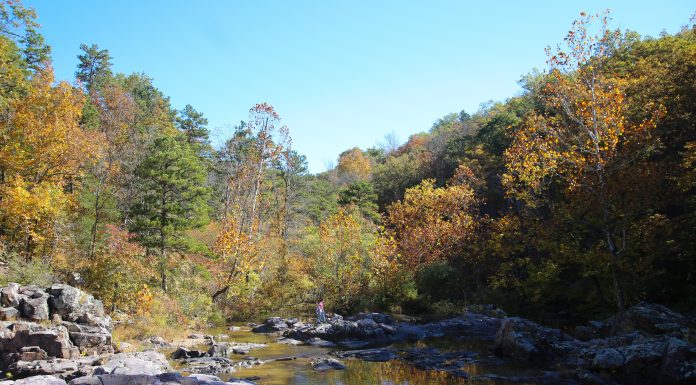NWS Releases Fall 2026 Weather-Read Insider