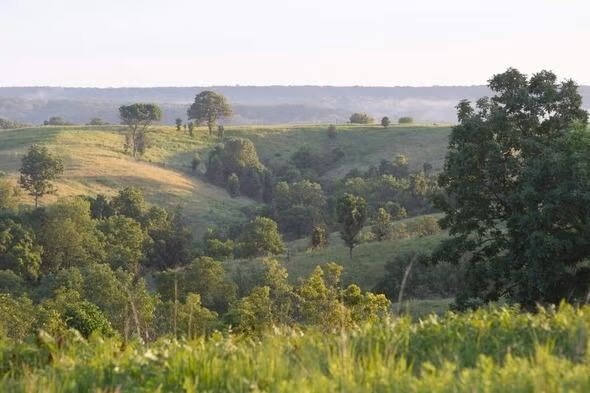 green-hills_original