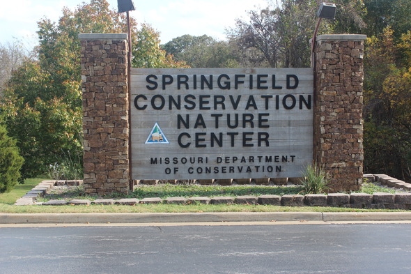 img-4240_crop
