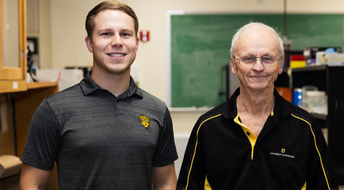 Mizzou researchers discover Link Between Lack of Physical Activity and Decline in Brain Health