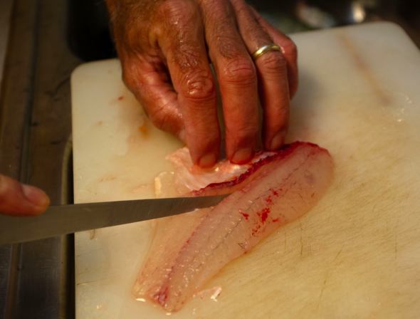 fishclean2_crop