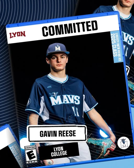 gavin